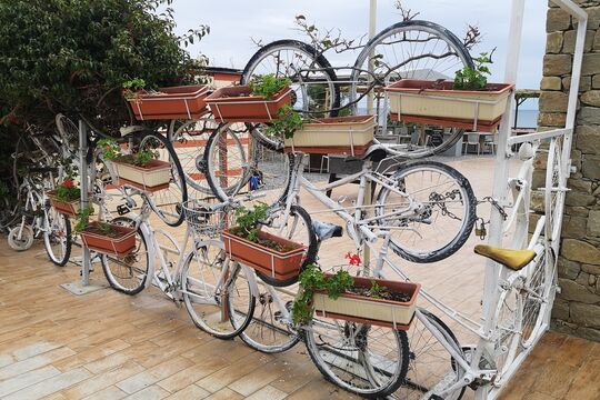 Velo Symbolbild.jpg